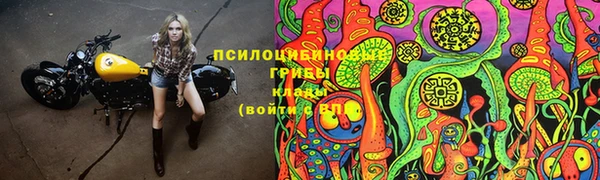 прущие грибы Алексеевка