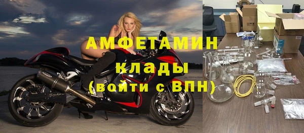 прущие грибы Алексеевка