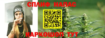 гашик Гусев