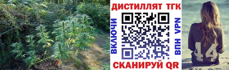 Дистиллят ТГК вейп с тгк  продажа наркотиков  Новоалександровск 
