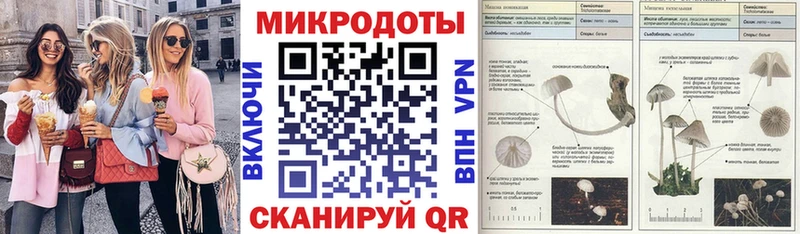 закладка Новоалександровск Псилоцибиновые грибы мухоморы
