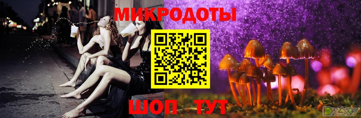 Новоалександровск  Псилоцибиновые грибы Psilocybe  сколько стоит  Вход с VPN  Псилоцибиновые грибы Magic Shrooms 