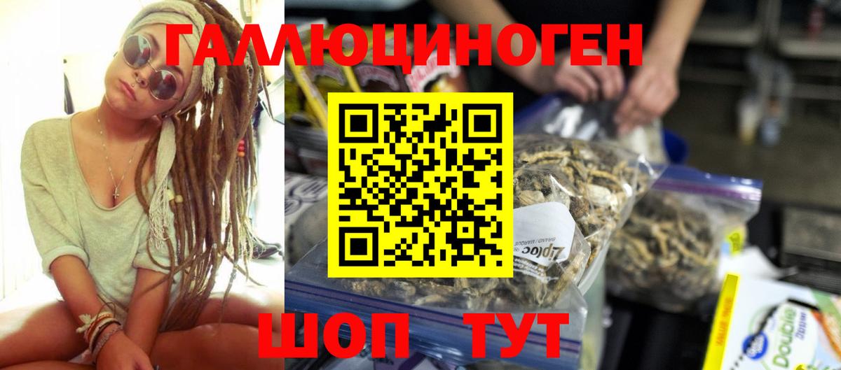 Псилоцибиновые грибы ЛСД Новоалександровск